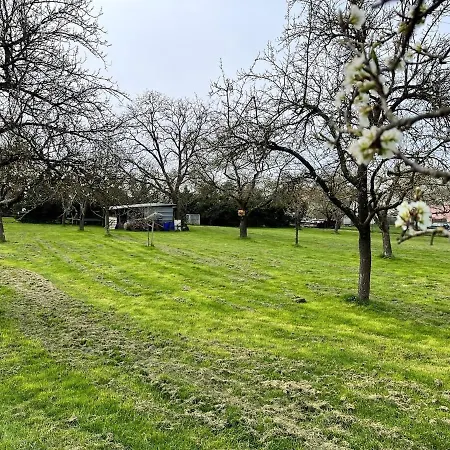 La Maison De Lilly - Meuble De Tourisme 4 Etoiles