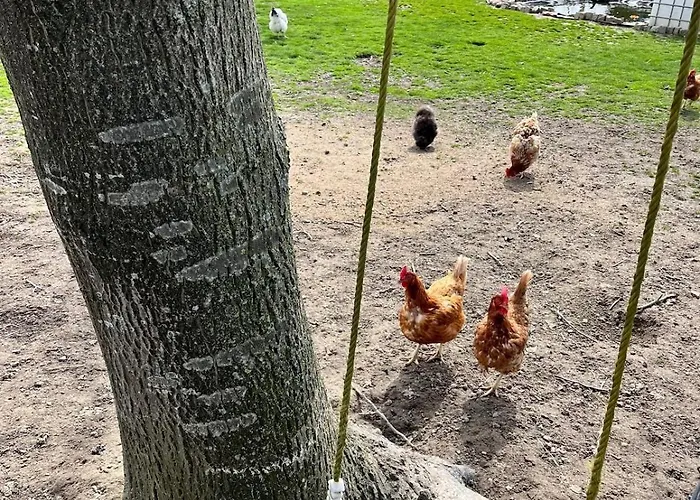 La Maison De Lilly - Meuble De Tourisme 4 Etoiles 別荘